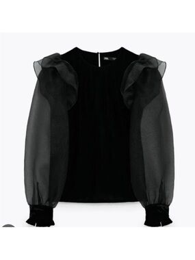 Zara Black Velvet Top with Sheer Organza Sleeves